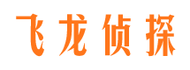 金城江情人调查